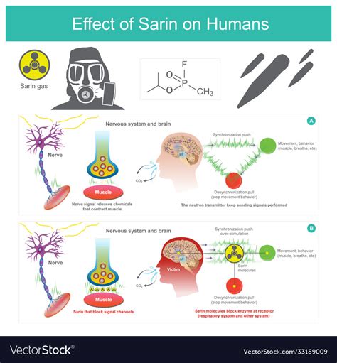 vx gas effects|sarin gas effects on humans.